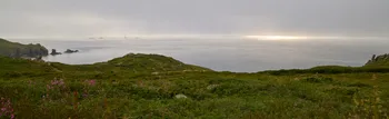 Cornish sun and mist.jpg